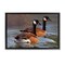 Stupell Industries Backwater Canada Geese Framed Floater Canvas Wall Art Design by Rod Lawrence
